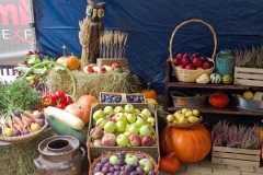 IMG_20250907_132231