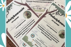 81247E8F-2051-4E2D-9617-08FBA9CDDC15-COLLAGE